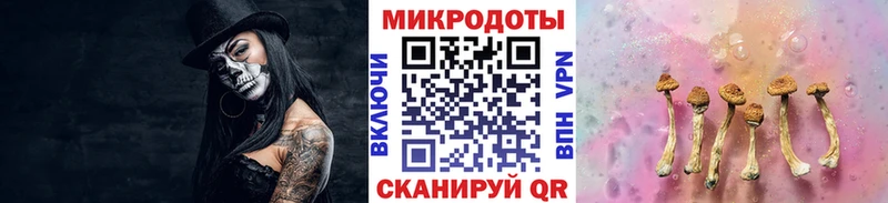 Галлюциногенные грибы Psilocybine cubensis Санкт-Петербург