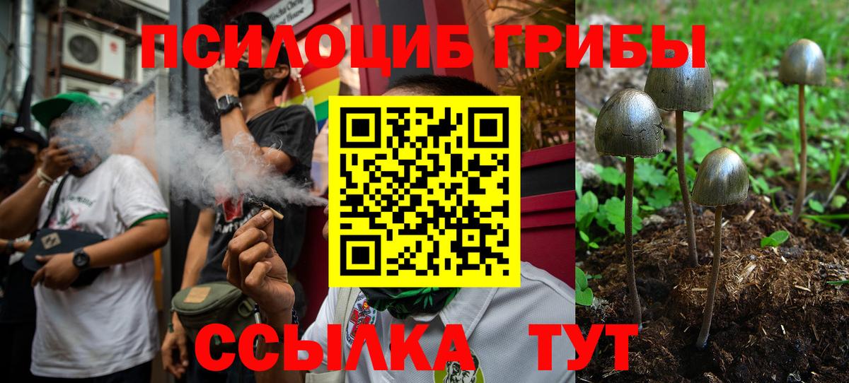 Санкт-Петербург  Галлюциногенные грибы Cubensis  Вход с VPN 